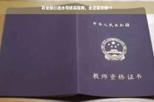 农业银行流水号核实指南，全流程攻略??
