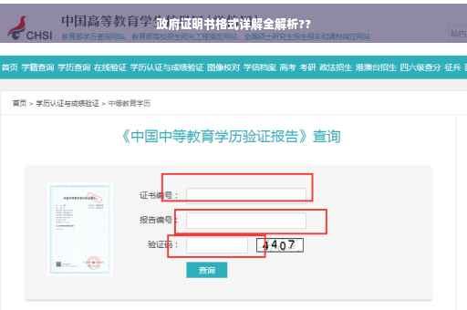 政府证明书格式详解全解析??