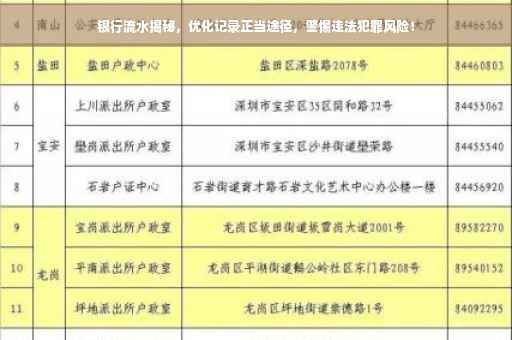 银行流水揭秘，优化记录正当途径，警惕违法犯罪风险！
