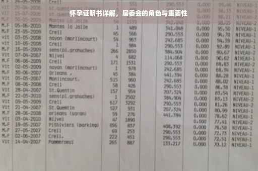 怀孕证明书详解，居委会的角色与重要性
