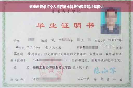 派出所要求打个人银行流水背后的深度解析与探讨