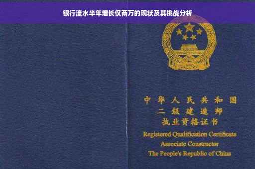 银行流水半年增长仅两万的现状及其挑战分析