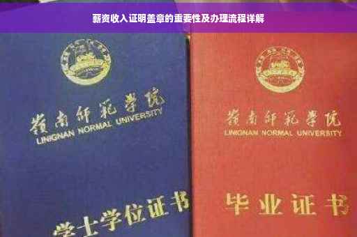 薪资收入证明盖章的重要性及办理流程详解