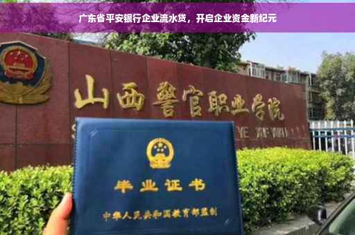 广东省平安银行企业流水贷，开启企业资金新纪元