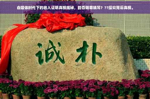自媒体时代下的收入证明真相揭秘，能否随意填写？??探究背后真相。