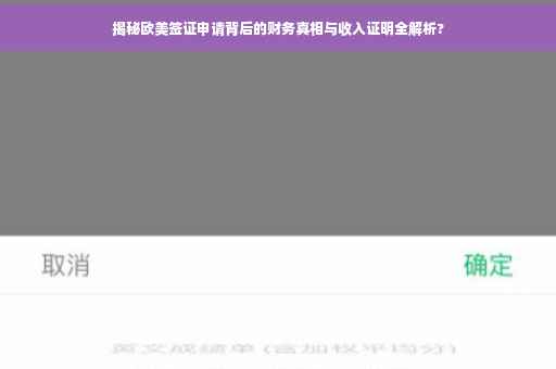 揭秘欧美签证申请背后的财务真相与收入证明全解析?