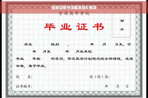 肾病证明书详解及图片概览
