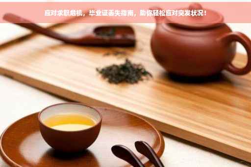 应对求职危机，毕业证丢失指南，助你轻松应对突发状况！