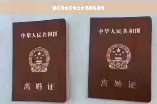 银行流水账专业术语解析指南