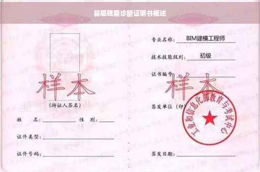 鼻癌晚期诊断证明书概述
