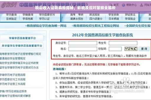 税后收入证明真相揭秘，影响及应对策略全解析