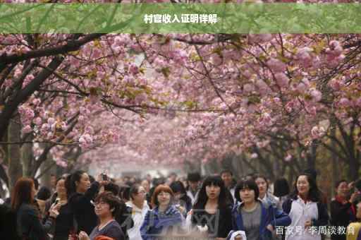 村官收入证明详解