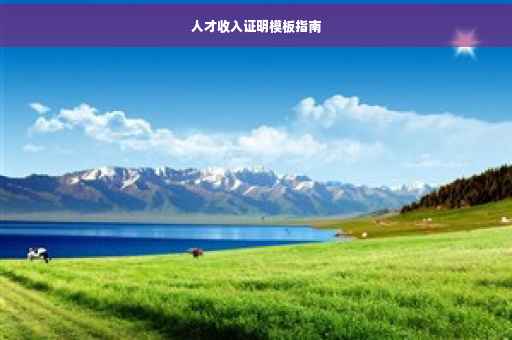 人才收入证明模板指南