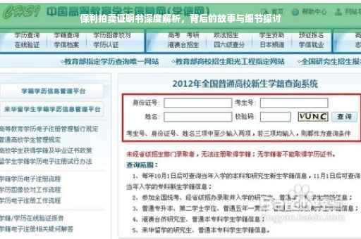 保利拍卖证明书深度解析，背后的故事与细节探讨
