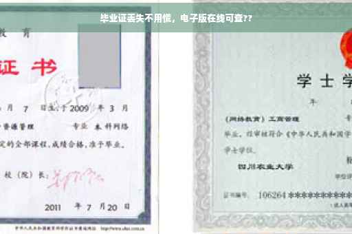 毕业证丢失不用慌，电子版在线可查??