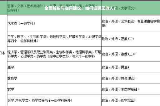 全面解析与实用建议，如何证明无收入？