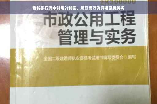 揭秘银行流水背后的秘密，月薪两万的真相深度解析