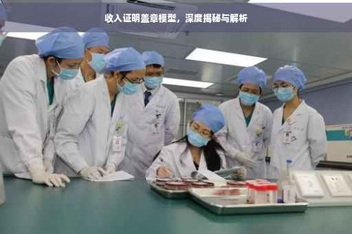 收入证明盖章模型，深度揭秘与解析