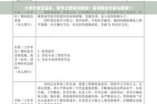 大学毕业证丢失，留学之路如何继续？探寻解决方案与路径?✨