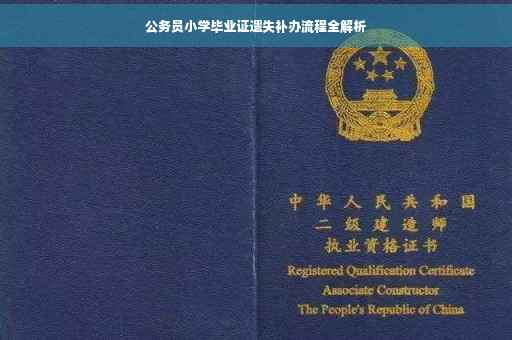 公务员小学毕业证遗失补办流程全解析