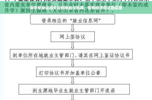 高中毕业证遗失后的挑战与机遇，初级经济师之路探索