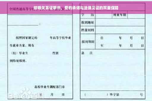 结婚关系证明书，爱的承诺与法律见证的双重保障