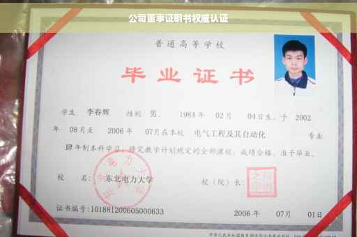公司董事证明书权威认证