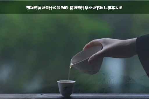 初级药师证是什么颜色的-初级药师毕业证书图片样本大全