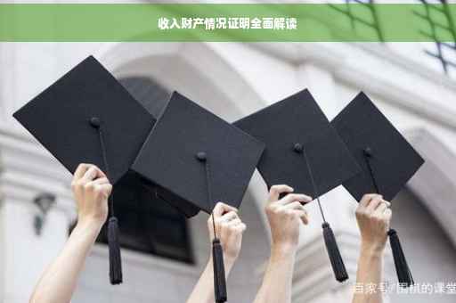 收入财产情况证明全面解读
