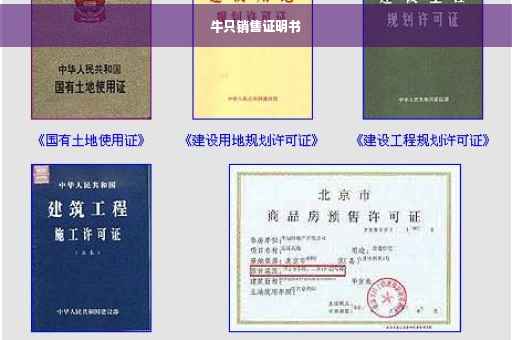 牛只销售证明书