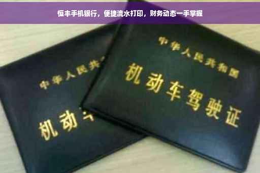 恒丰手机银行，便捷流水打印，财务动态一手掌握
