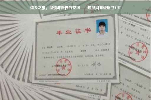 返乡之旅，温情与责任的交织——返乡同意证明书?⚡️