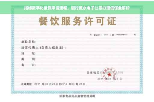 揭秘数字化低保申请流程，银行流水电子公章办理低保全解析