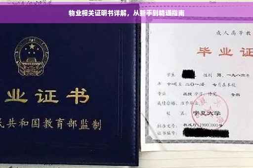 物业相关证明书详解，从新手到精通指南