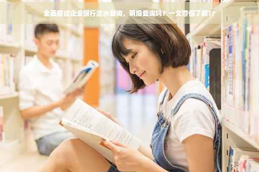 全面解读企业银行流水查询，明细查询吗？一文带你了解??