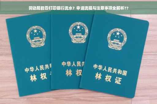 劳动局能否打印银行流水？申请流程与注意事项全解析??