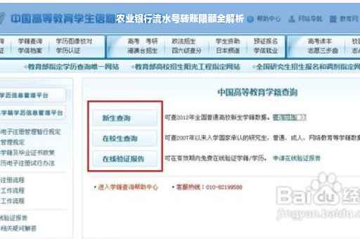 农业银行流水号转账限额全解析