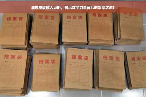 浦东发展收入证明，揭示数字力量背后的繁荣之道?