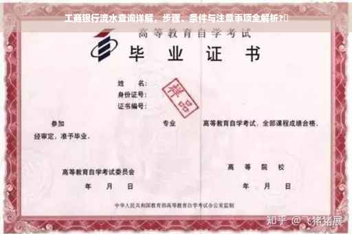 工商银行流水查询详解，步骤、条件与注意事项全解析?✨
