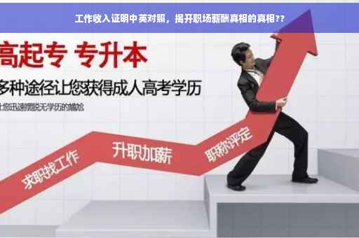 工作收入证明中英对照，揭开职场薪酬真相的真相??