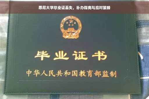 悉尼大学毕业证丢失，补办指南与应对策略