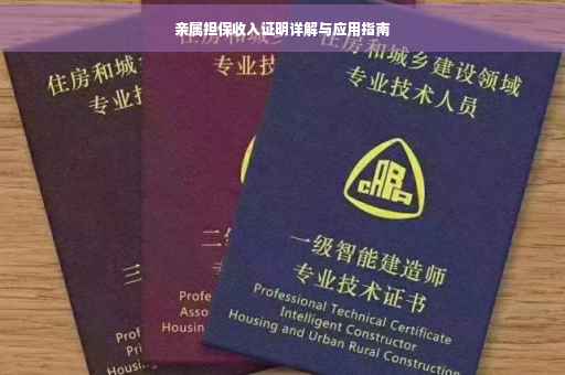 亲属担保收入证明详解与应用指南