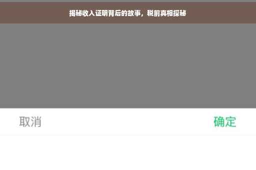 揭秘收入证明背后的故事，税前真相探秘