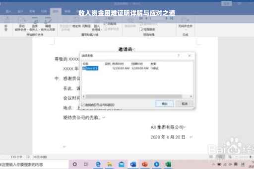 收入资金困难证明详解与应对之道