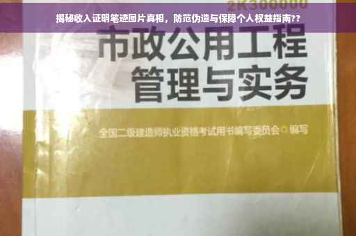 揭秘收入证明笔迹图片真相，防范伪造与保障个人权益指南??