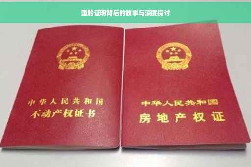 堕胎证明背后的故事与深度探讨
