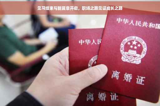 见习结束与新篇章开启，职场之路见证成长之路