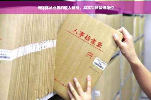 自媒体从业者的收入证明，真实写照呈送单位