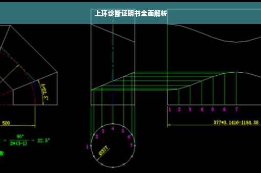 上环诊断证明书全面解析