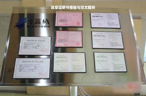 违章证明书模板与范文解析
